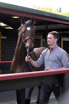 Lot 184 rtsv 5198web